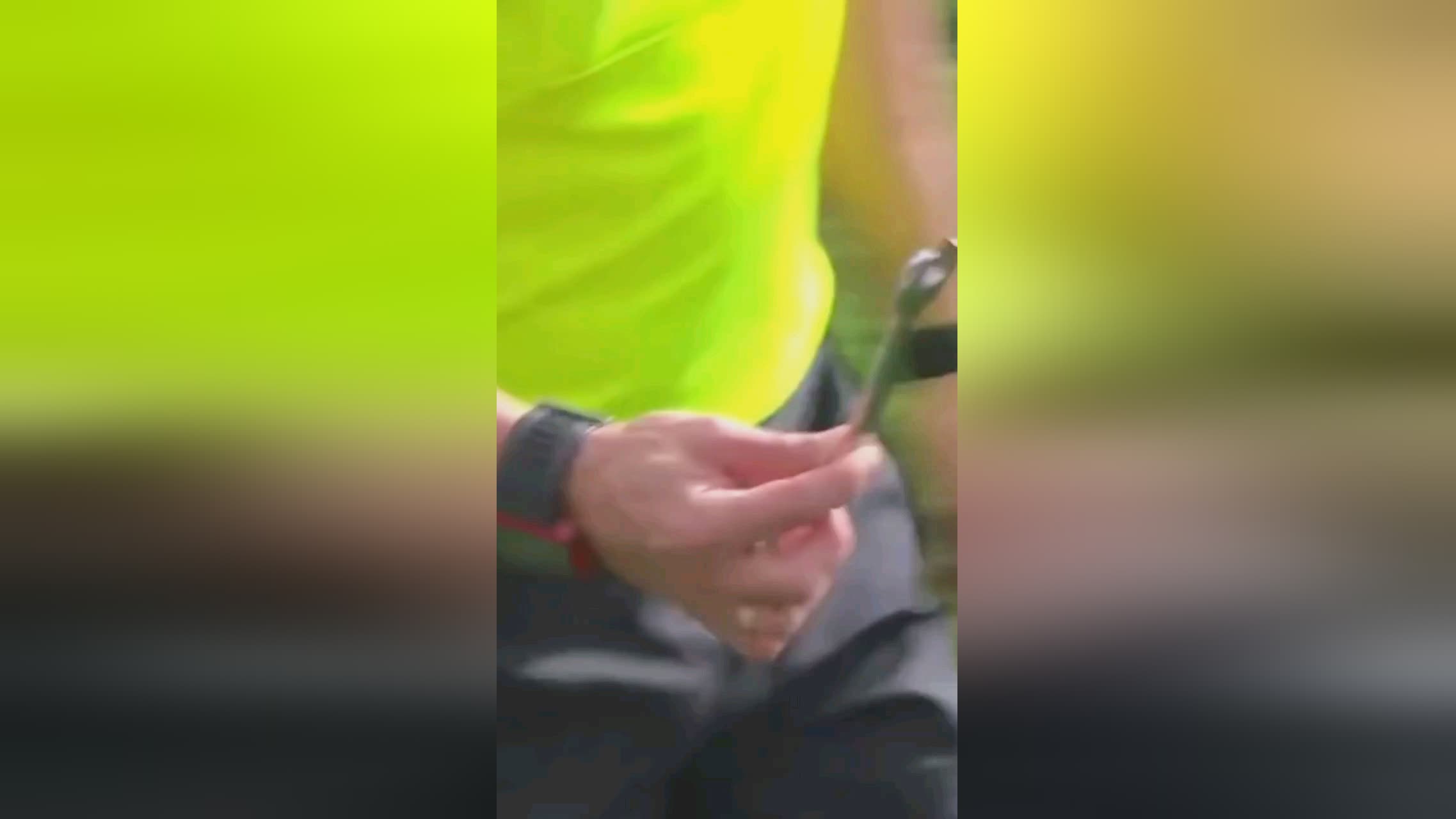 己的文化归